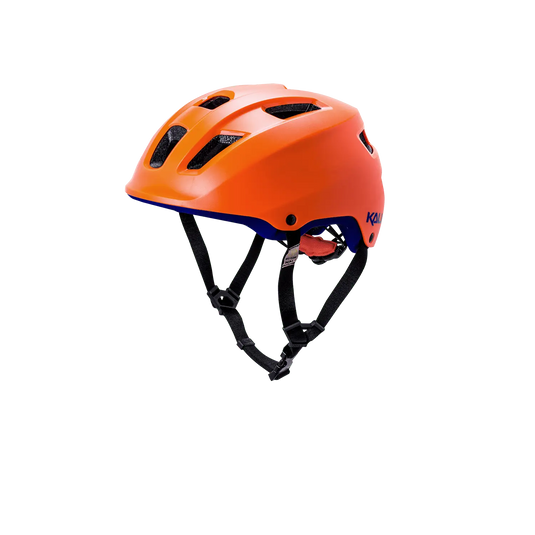 Ave Kali Protectives