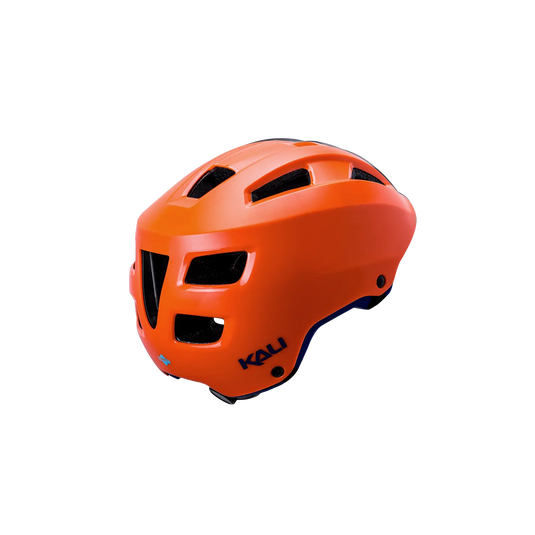 Ave Kali Protectives