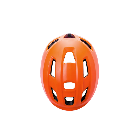 Ave Kali Protectives