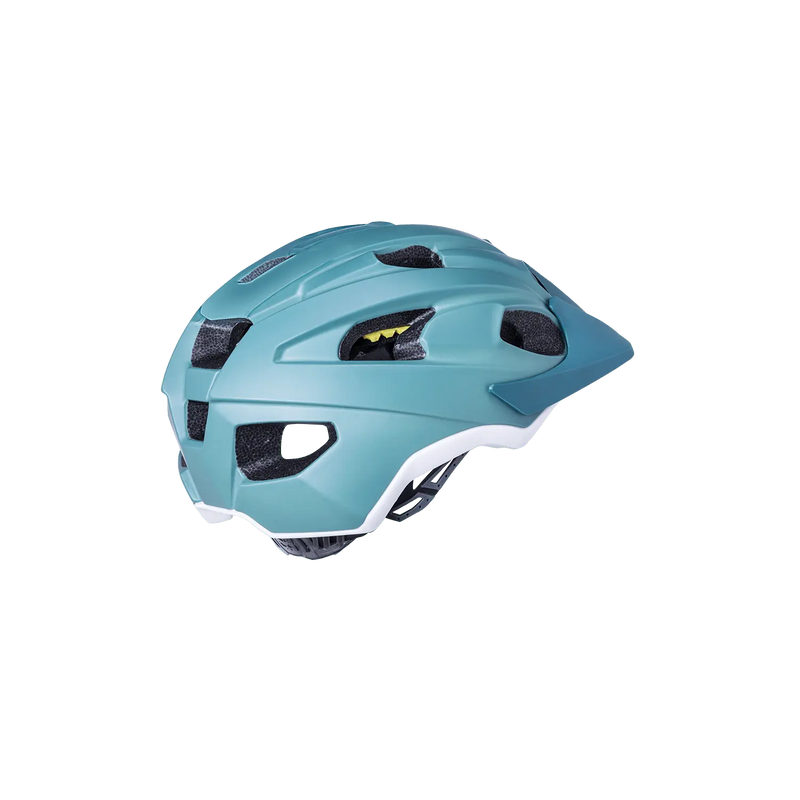 Load image into Gallery viewer, Pace Kali Protectives
