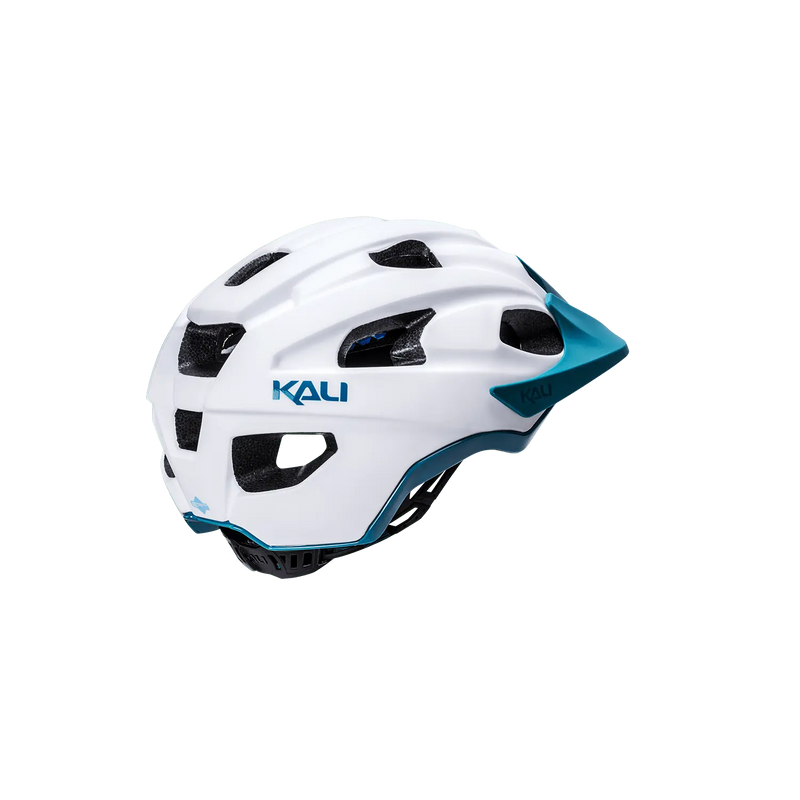 Load image into Gallery viewer, Pace Kali Protectives
