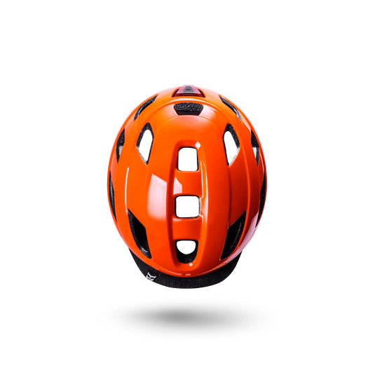 Traffic 2.0 Kali Protectives