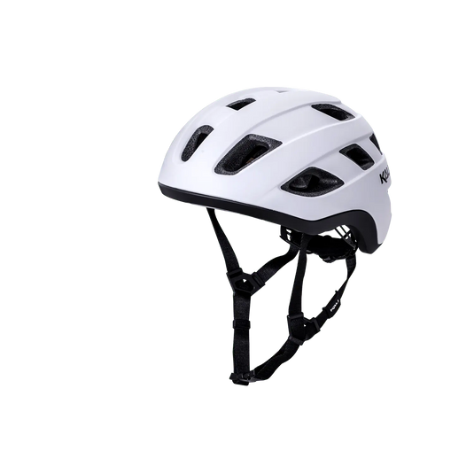 Traffic Basic Kali Protectives