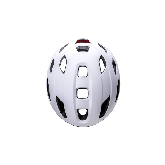 Traffic Basic Kali Protectives