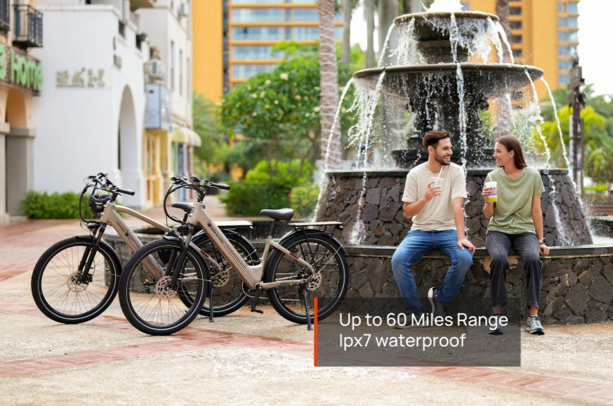 Mokwheel Asphalt E-bike
