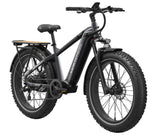 Mokwheel Basalt E-bike