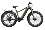 Mokwheel Basalt E-bike