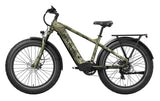Mokwheel Basalt E-bike
