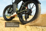 Mokwheel Basalt 2.0 E-Bike (SOver)