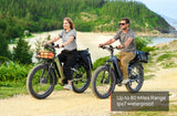 Mokwheel Basalt 2.0 E-Bike (SOver)