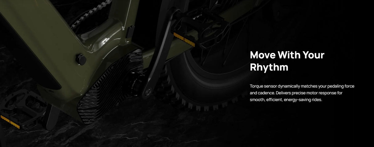 Mokwheel Basalt 2.0 ST E-bike