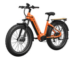 Mokwheel Basalt 2.0 ST E-bike