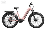 Mokwheel Basalt 2.0 ST E-bike