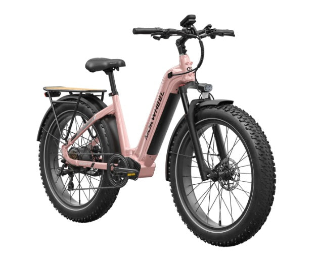 Mokwheel Basalt 2.0 ST E-bike
