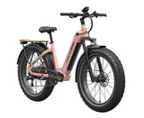 Mokwheel Basalt 2.0 ST E-bike