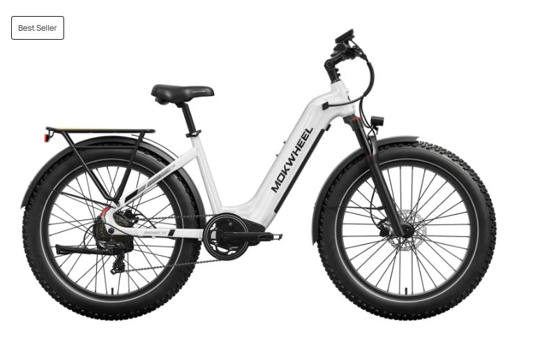 Mokwheel Basalt 2.0 ST E-bike