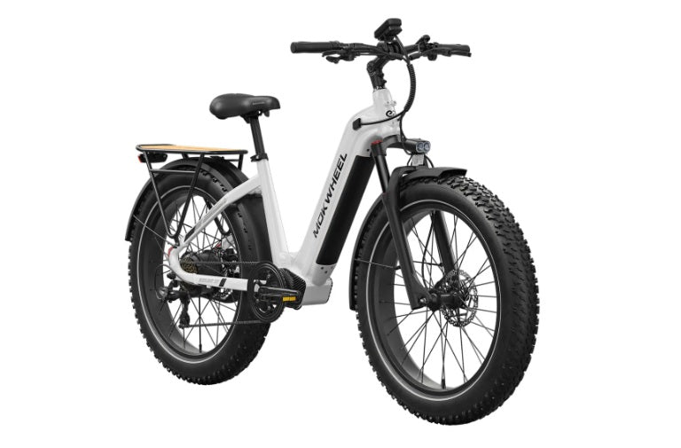 Mokwheel Basalt 2.0 ST E-bike