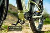 Mokwheel Basalt 2.0 ST E-bike