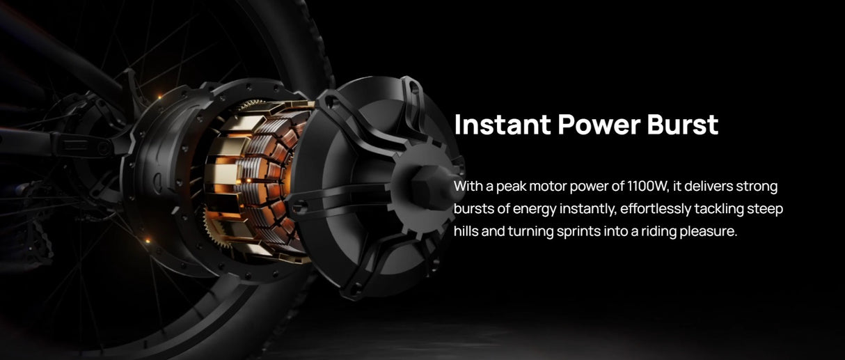 Mokwheel Basalt E-bike