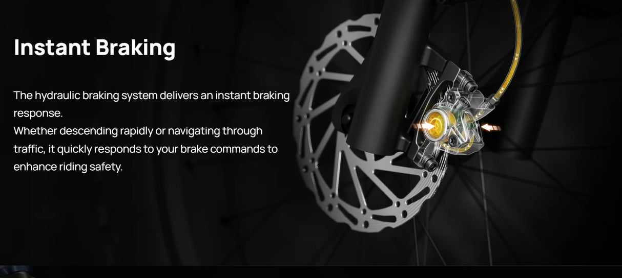 Mokwheel Basalt E-bike