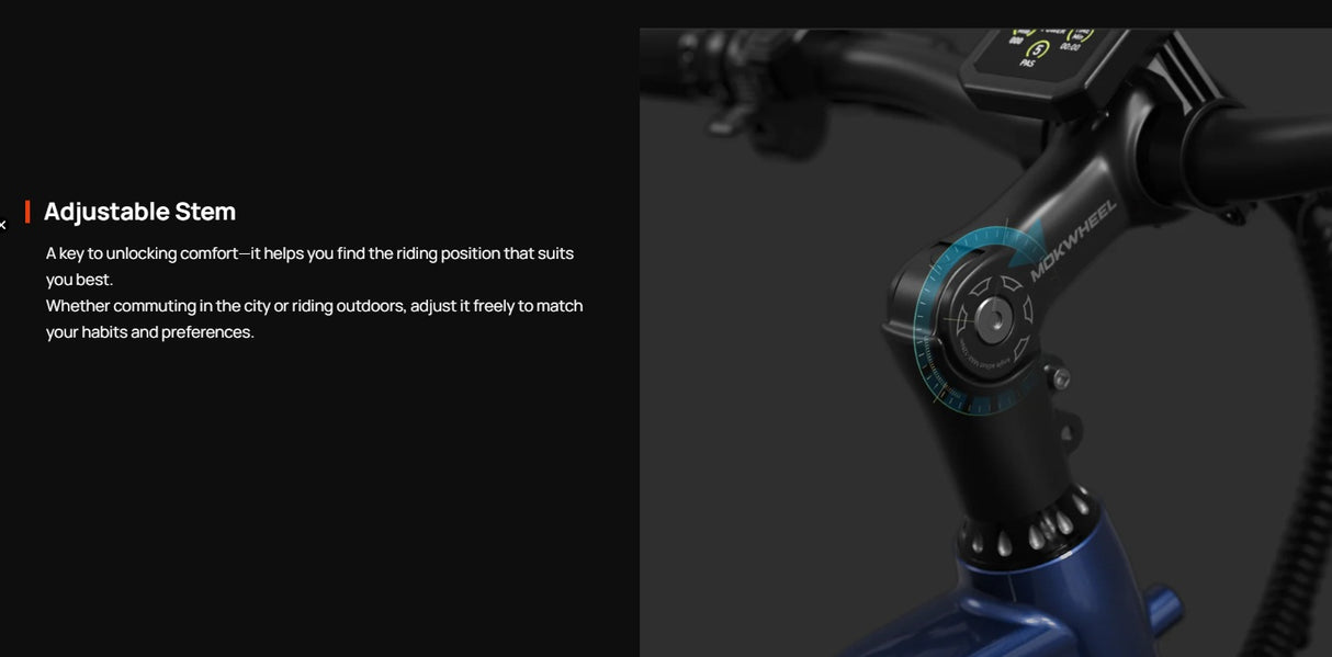Mokwheel Basalt E-bike