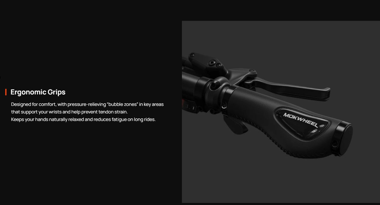 Mokwheel Basalt E-bike