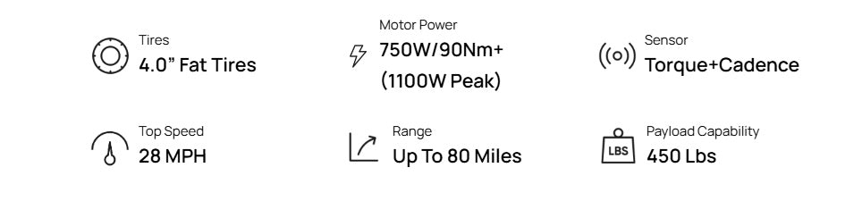 Mokwheel Basalt E-bike
