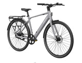 Mokwheel FLINT PRO E-Bike