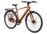 Mokwheel FLINT PRO E-Bike