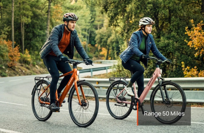 Mokwheel FLINT PRO E-Bike