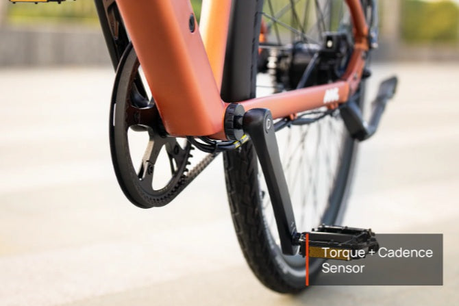 Mokwheel FLINT PRO E-Bike