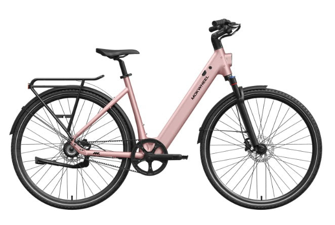 Mokwheel FLINT PRO ST E-Bike
