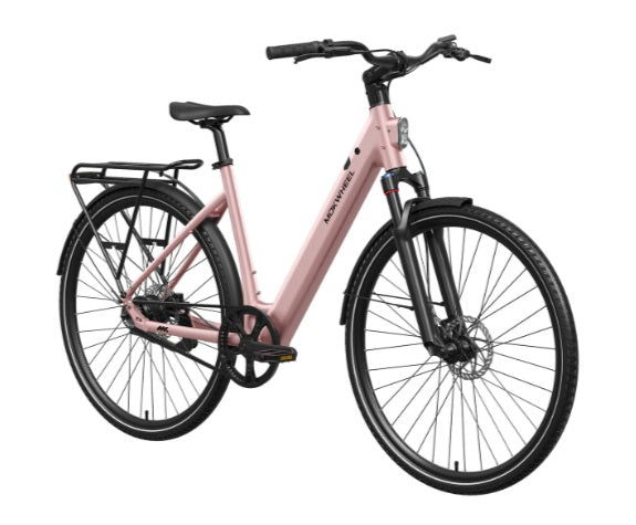 Mokwheel FLINT PRO ST E-Bike