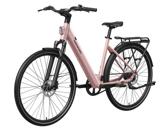 Mokwheel FLINT PRO ST E-Bike