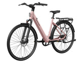 Mokwheel FLINT PRO ST E-Bike