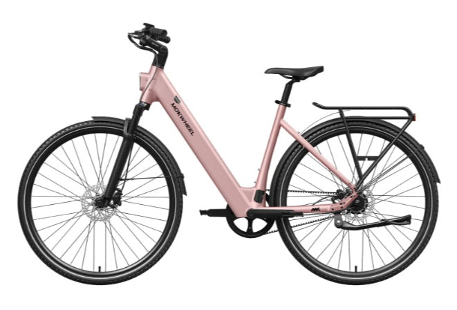 Mokwheel FLINT PRO ST E-Bike