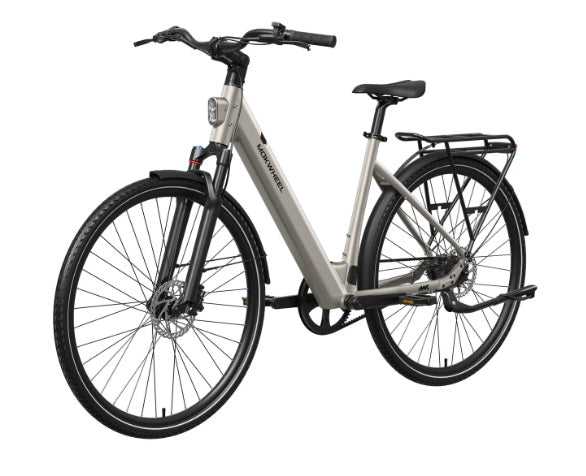 Mokwheel FLINT PRO ST E-Bike