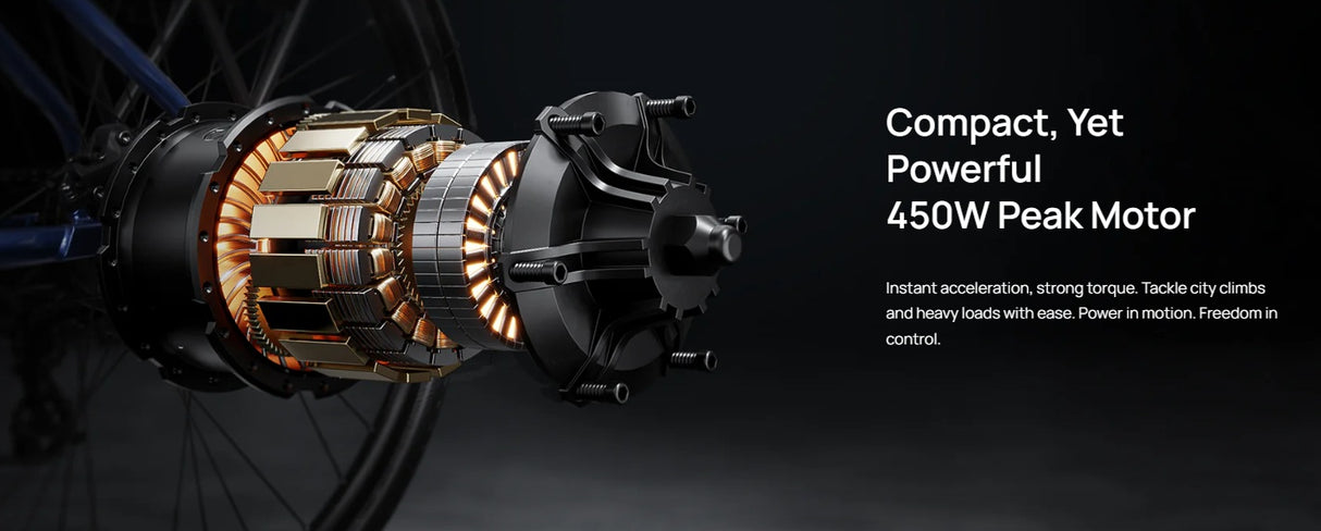 Mokwheel FLINT PRO ST E-Bike