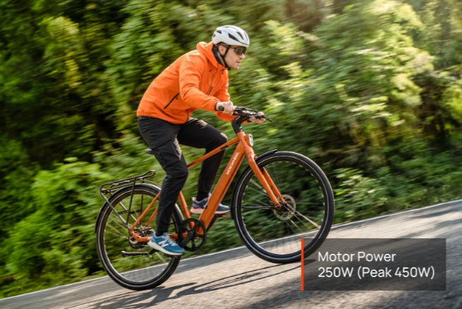 Mokwheel FLINT PRO ST E-Bike