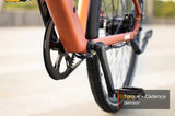 Mokwheel FLINT PRO ST E-Bike