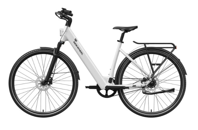 Mokwheel FLINT PRO ST E-Bike