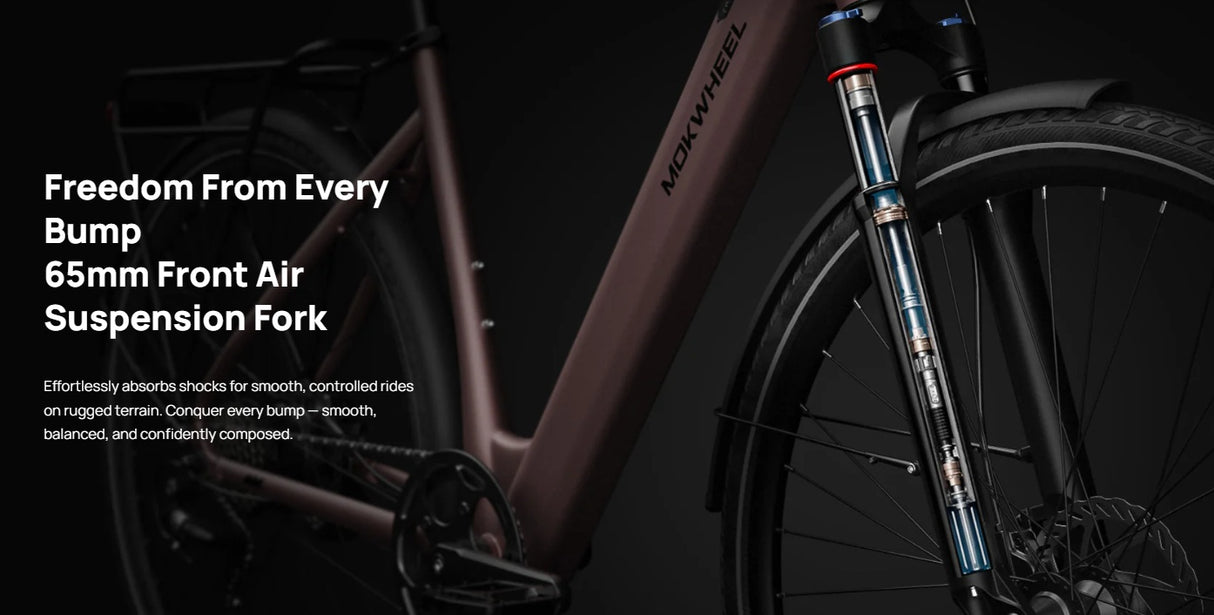 Mokwheel Flint ST E-Bike