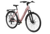 Mokwheel Flint ST E-Bike