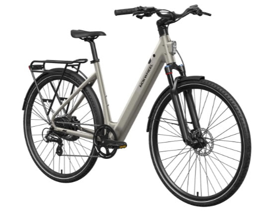 Mokwheel Flint ST E-Bike