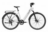 Mokwheel Flint ST E-Bike
