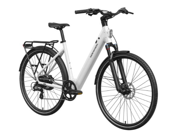 Mokwheel Flint ST E-Bike