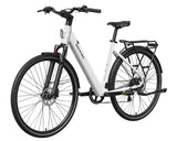 Mokwheel Flint ST E-Bike