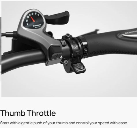 Mokwheel Granite E-Trike