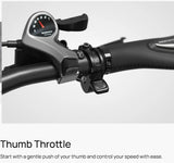 Mokwheel Granite E-Trike