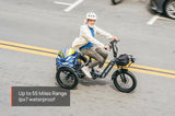 Mokwheel Granite E-Trike